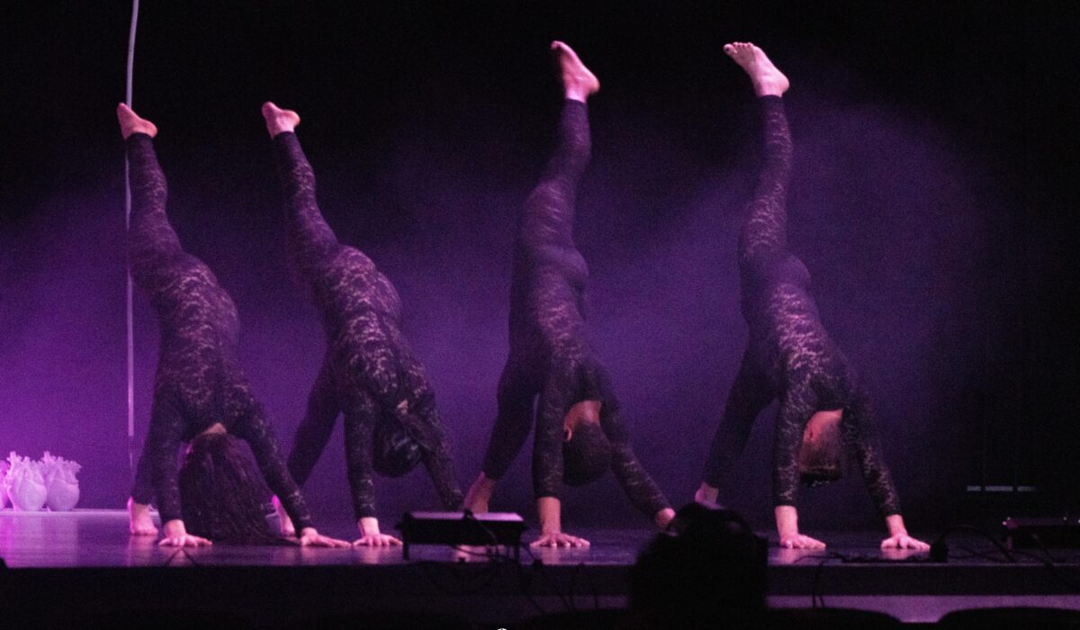 ficções do interlúdio_ teatro cine gouveia (21)